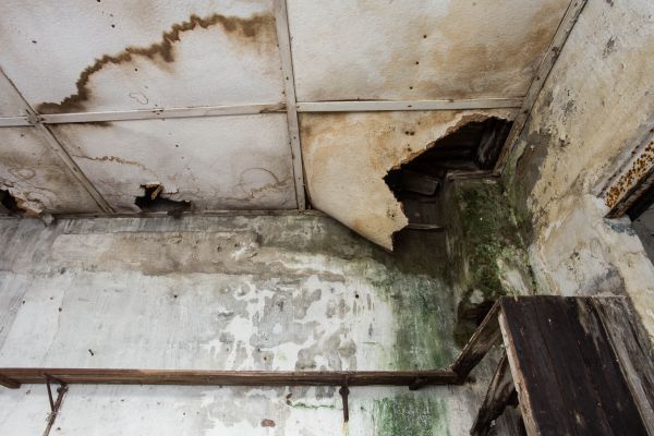 Water Damage Service in Meridian