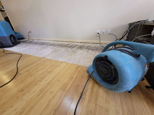 Water Damage Mitigation in Meridian