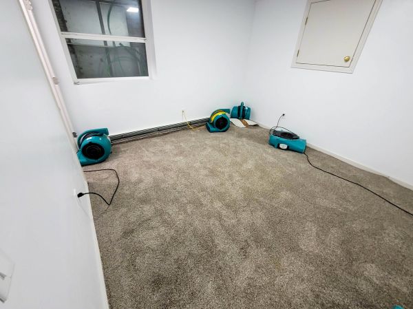 Flood Restoration Service in Meridian
